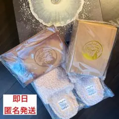 【りあ様専用】Siipガイア 完全生産限定版 (グッズ、外箱)