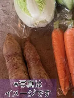 【るる様専用ページ】 さつまいも詰め合わせ2kg