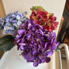 特選】 アジサイ 5種6鉢 紫陽花 紫紺のゆらぎ 妖精の羽音 - メルカリ
