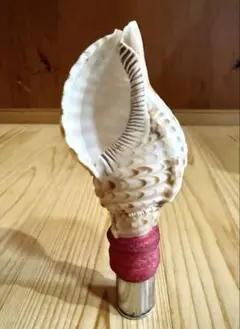 Item thumbnail for item ad14c35e-9c4b-44fc-9638-46847ff0a010