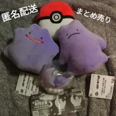 ポケットモンスター　ぽこあポケモン発表祝い　メタモンセット
