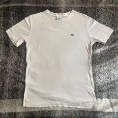 LACOSTE 白　Tシャツ