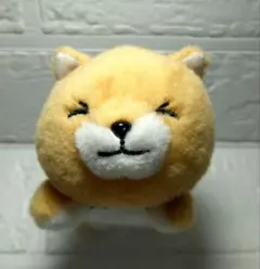 Item thumbnail for item a863fd92-98e6-4fc0-b9f6-e4e669888990