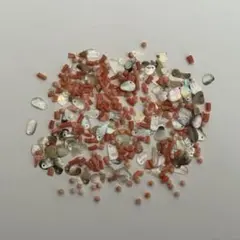 ビーズセット　貝殻風　サンゴ風