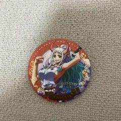 ONE PIECE バースデージュエリー缶バッジ11月 ヤマト