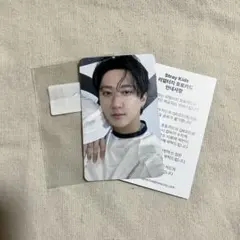 チャンビン celebrATE リアルタッチフォトカード straykids