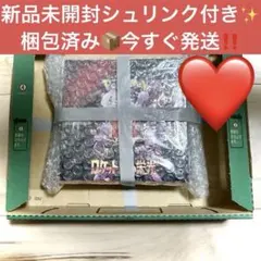 即日発送　ロケット団の栄光シュリンク付きBOX新品未開封レシート有りあんしん鑑定