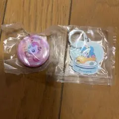 キャッチ！ティニピン 缶バッジ アクセサリー チャーム2点セット