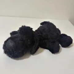 COMO&RAY 子犬のルーク　黒のサムネイル