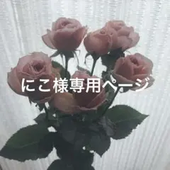 にこ様専用ページ