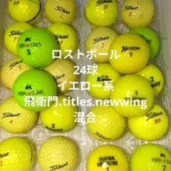 ロストボール/24球/イエロー/ゴルフ/Titleist/newwing/飛衛門