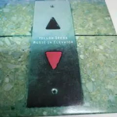 YELLOW SEEDS MUSIC IN ELEVATOR