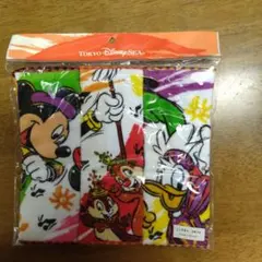 ディズニー　ミニタオル