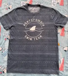 abercrombie アバクロキッズTシャツ 15/16 150センチ