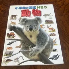 Item thumbnail for item 5c552dc1-215d-4808-8058-f3e9c1fa5833