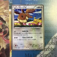 ポケモンカード イーブイ プロモ 213/BW-P ジムプロモ 0638 - メルカリ