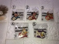 ディズニーランド 35周年記念 キーホルダー チャーム ピンズ 5個セット