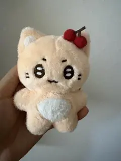 NCT ユウタ 悠太 yuta ネコ キーリング ぬいぐるみ WALK NCT ユウタ 悠太 yuta ネコ キーリング ぬいぐるみ WALK