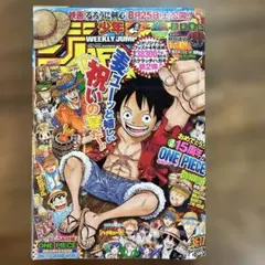 週刊少年ジャンプ 2010年44号 ワンピース表紙新世界編開幕ONE PIECE
