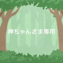 神ちゃんさま専用