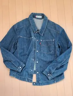 2025年最新】Levi's ENGINEERED JEANS メンズ Gジャン・デニム