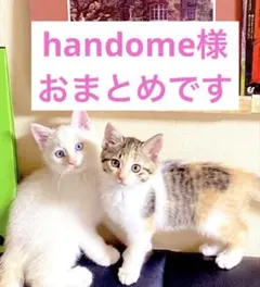 handome様 リクエスト 3点 まとめ商品