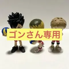 ゴンさん専用出品‼️