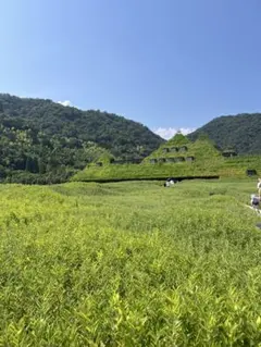 【けちゃっぷ様】専用ページ