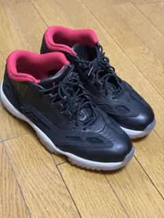 Jordan 11 RETRO LOW IEのサムネイル