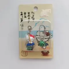 【 激レア 】ハローキティ / ご当地キティ / スイカ割り 激レア 】ハローキティ / ご当地キティ / スイカ割り - メルカリ