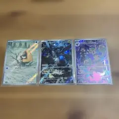 メガドリームex nのゼクロム　ポップのオーロット　ユキワラシ