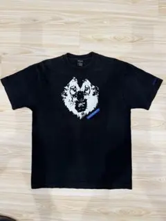 00s Back Channej ライオンTシャツ STUSSY nitraidのサムネイル