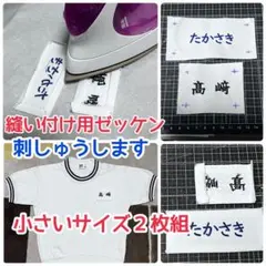 Item thumbnail for item 6fc1f8db-e00e-4907-8bd2-3d0da0acebec