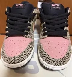 Arts Rec × Nike SB Dunk Low Pro 27.5