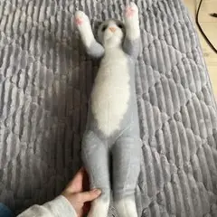 Item thumbnail for item c0ea3520-50f8-42fb-af73-02713442fc5c