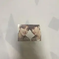 SEVENTEEN セブチ odetoyou エスクプス ディノ ペアトレカ