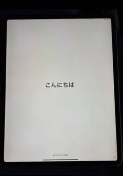 iPadPro 12.9インチ 第3世代 64GB スペースグレー