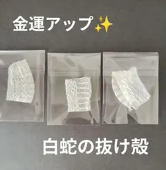 2025年最新】白蛇の抜け殻の人気アイテム - メルカリ