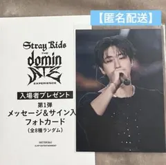 Stray Kids 映画 入場者特典トレカ　ハン　フォトカード　公式　スキズ