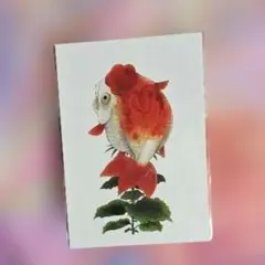鬼灯の冷徹 江口夏実 金魚草 絵葉書 20巻表紙 ポストカード