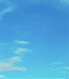 りんすい様　専用