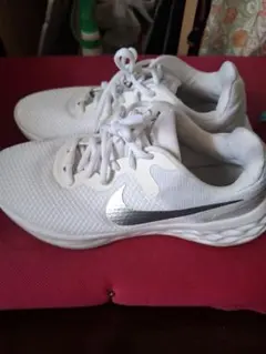 Item thumbnail for item f0aba6f3-e061-4228-9101-c7a110eac626