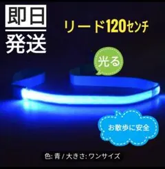 Item thumbnail for item 12f27a12-3aa6-4108-8798-cb691fe31080