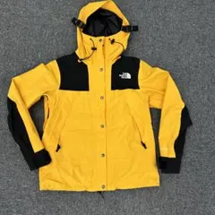 31 ノースフェイスgtx 1990 Mountain Jacket GTX M