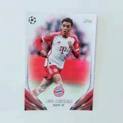 2026年最新】ムシアラの人気アイテム - メルカリ