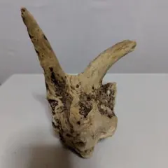 Item thumbnail for item 7905d168-509a-4dbd-9d38-a5bdf081f11a