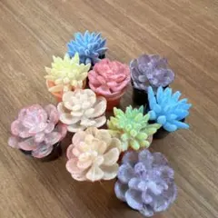 ミニチュア 観葉植物 ドールハウス インテリア 多肉植物　置物　10個まとめ売り