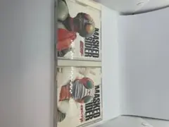 Item thumbnail for item d55193c7-8946-4e88-aeb3-efc7a1cd8adb