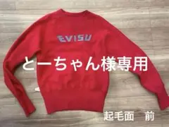 2026年最新】EVISU カラー：レッド系 メンズ トレーナー・スウェットの