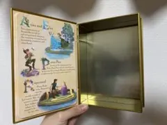 ファンタジースプリングスブック型 ディズニーシー アナ雪 ラプンツェル